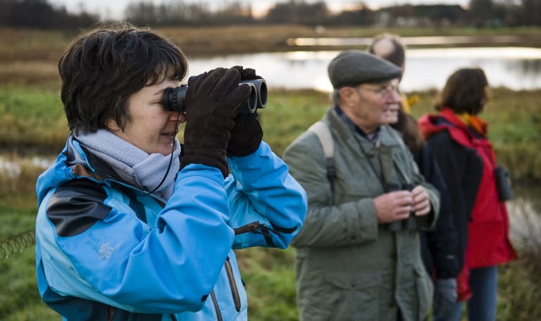 Wandelen door de Ackerdijkse Plassen Wandelen door de Ackerdijkse Plassen