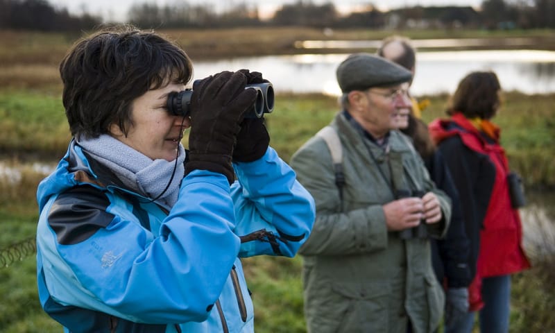 Wandelen door de Ackerdijkse Plassen