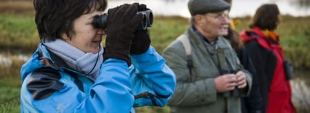 Wandelen door de Ackerdijkse Plassen