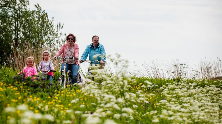 Polderpadroute: Van stadse frats naar lekker groen