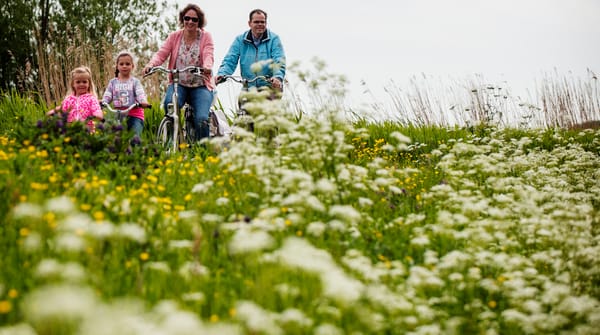 Polderpadroute: Van stadse frats naar lekker groen Polderpadroute: Van stadse frats naar lekker groen