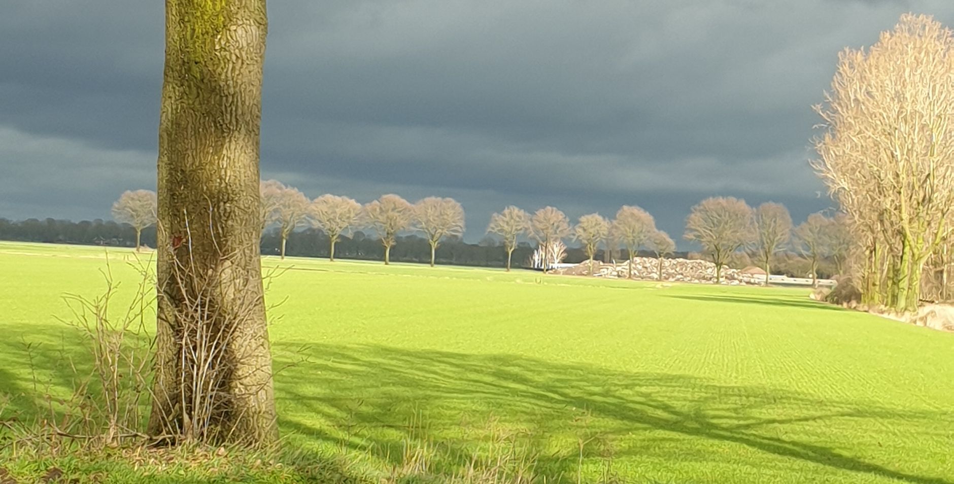 Natuur zo'n van achter bij n donkere lucht