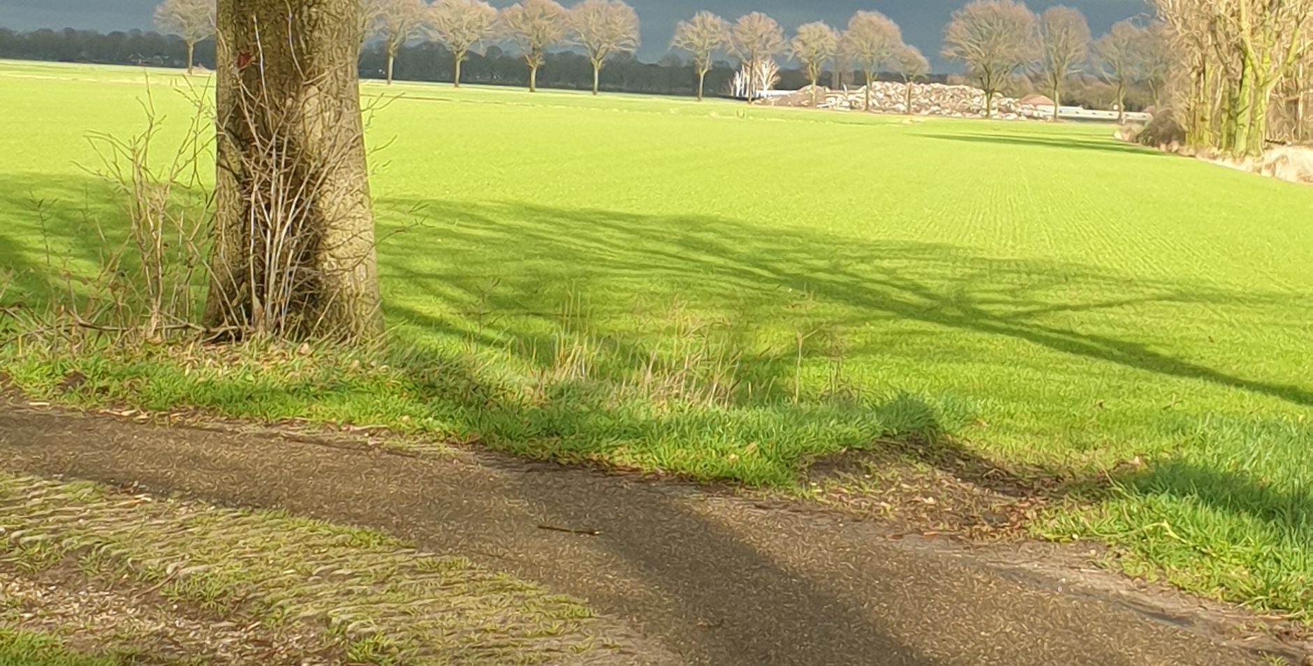 Natuur zo'n van achter bij n donkere lucht