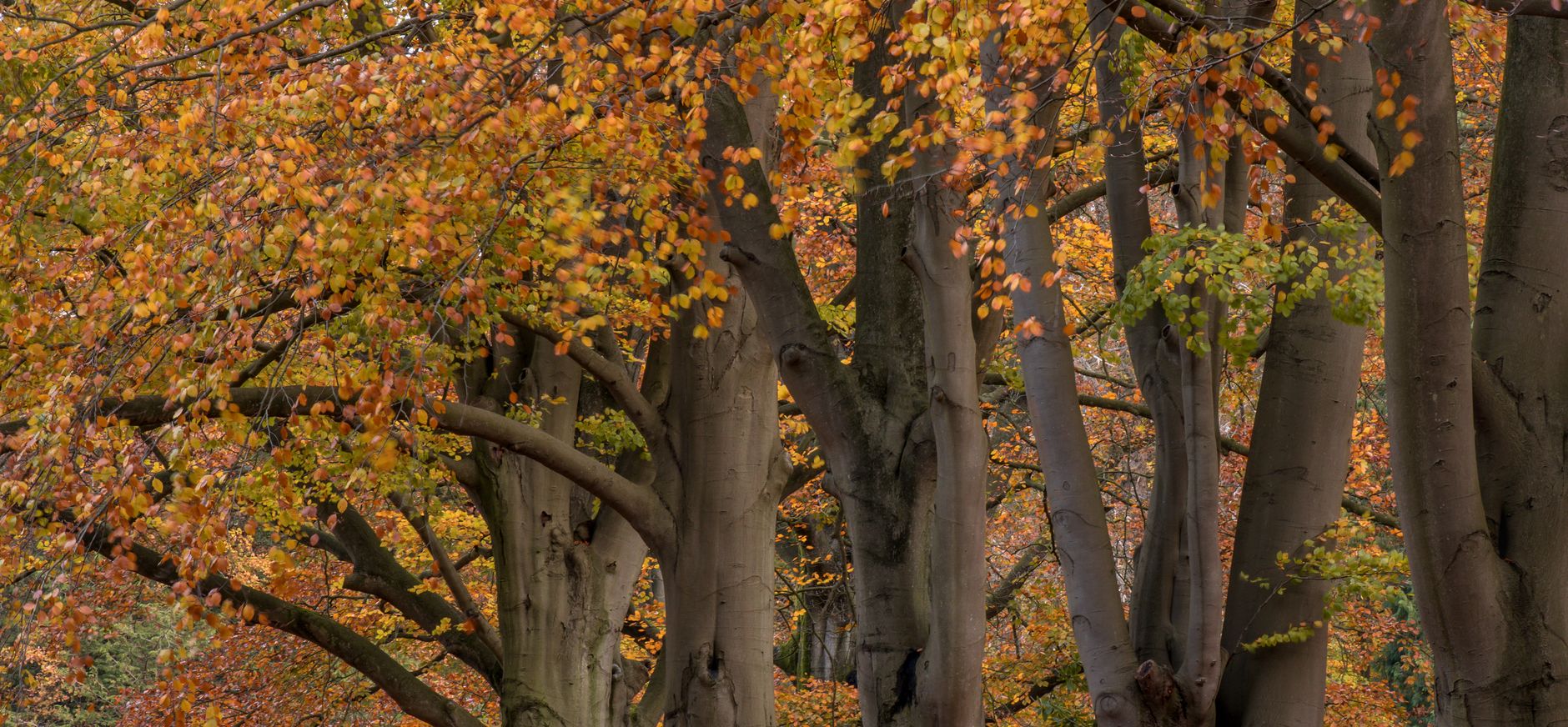 Zagen op Landgoed Nijenburg: pracht en praal en hard werken