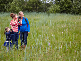 Wandelroute Empese en Tondense Heide, bij Zutphen