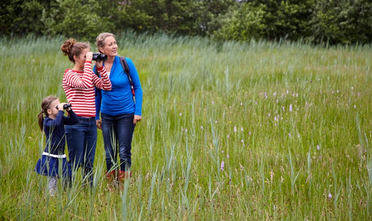 Wandelroute Empese en Tondense Heide, bij Zutphen