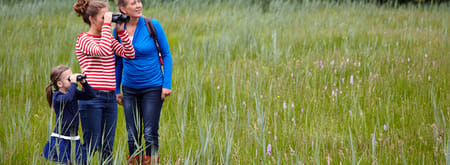 Wandelroute Empese en Tondense Heide, bij Zutphen
