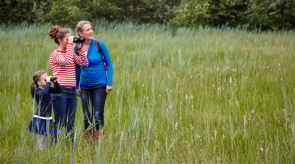Wandelroute Empese en Tondense Heide, bij Zutphen