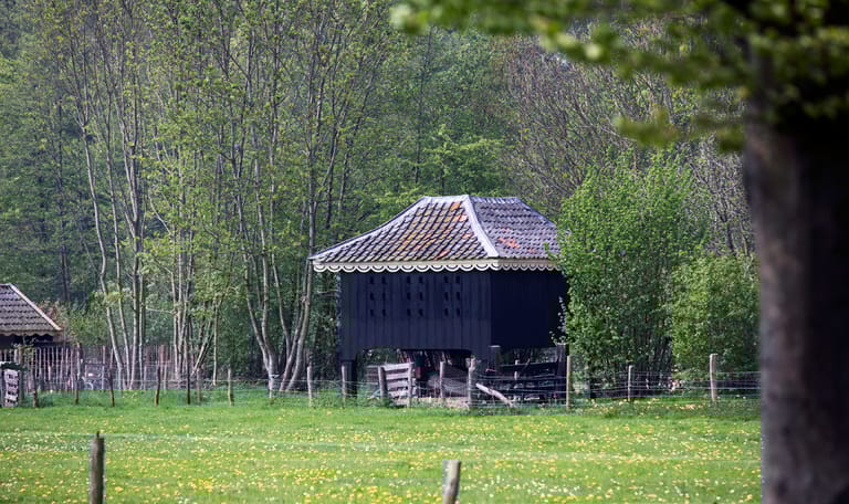 Duiventil Oldenaller