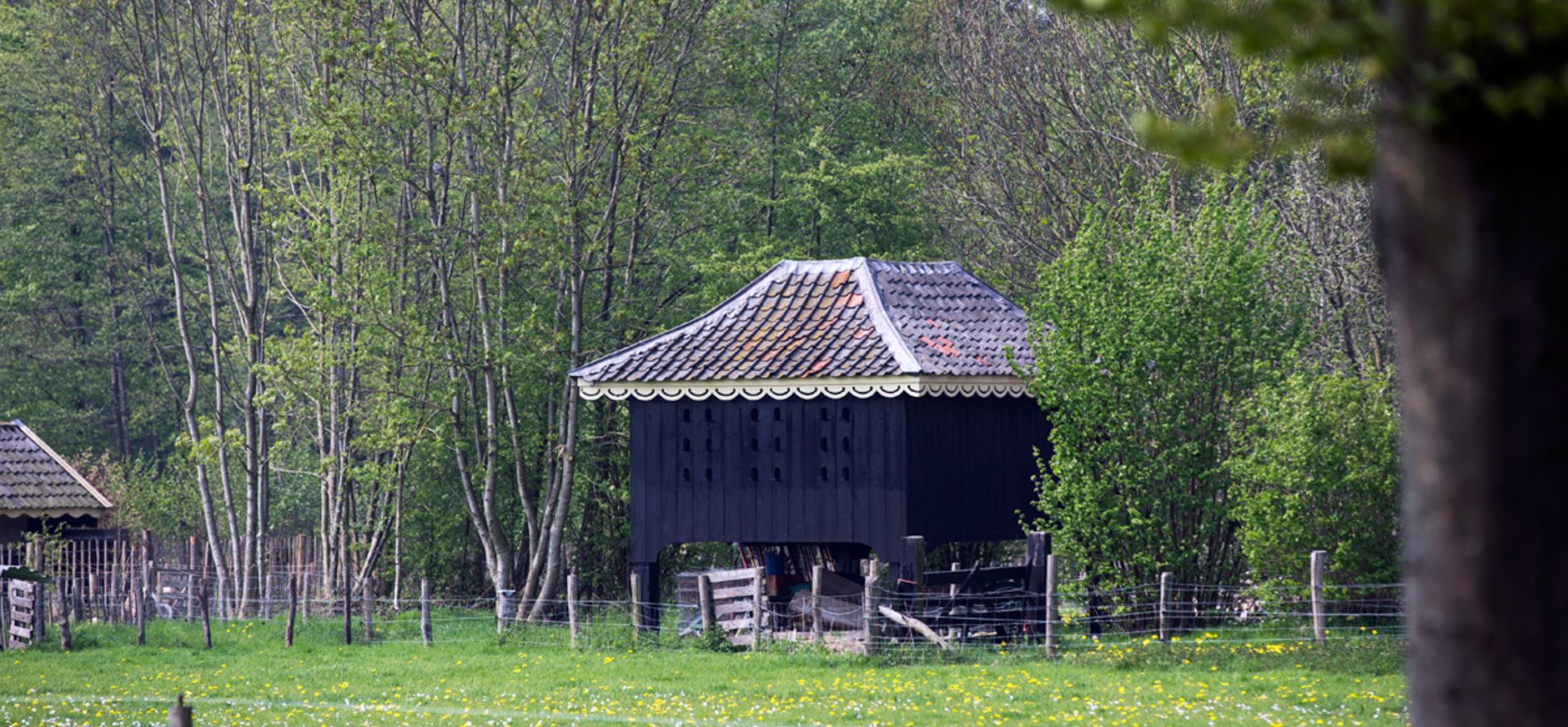 Duiventil Oldenaller