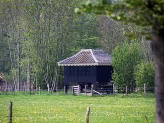 Duiventil Oldenaller
