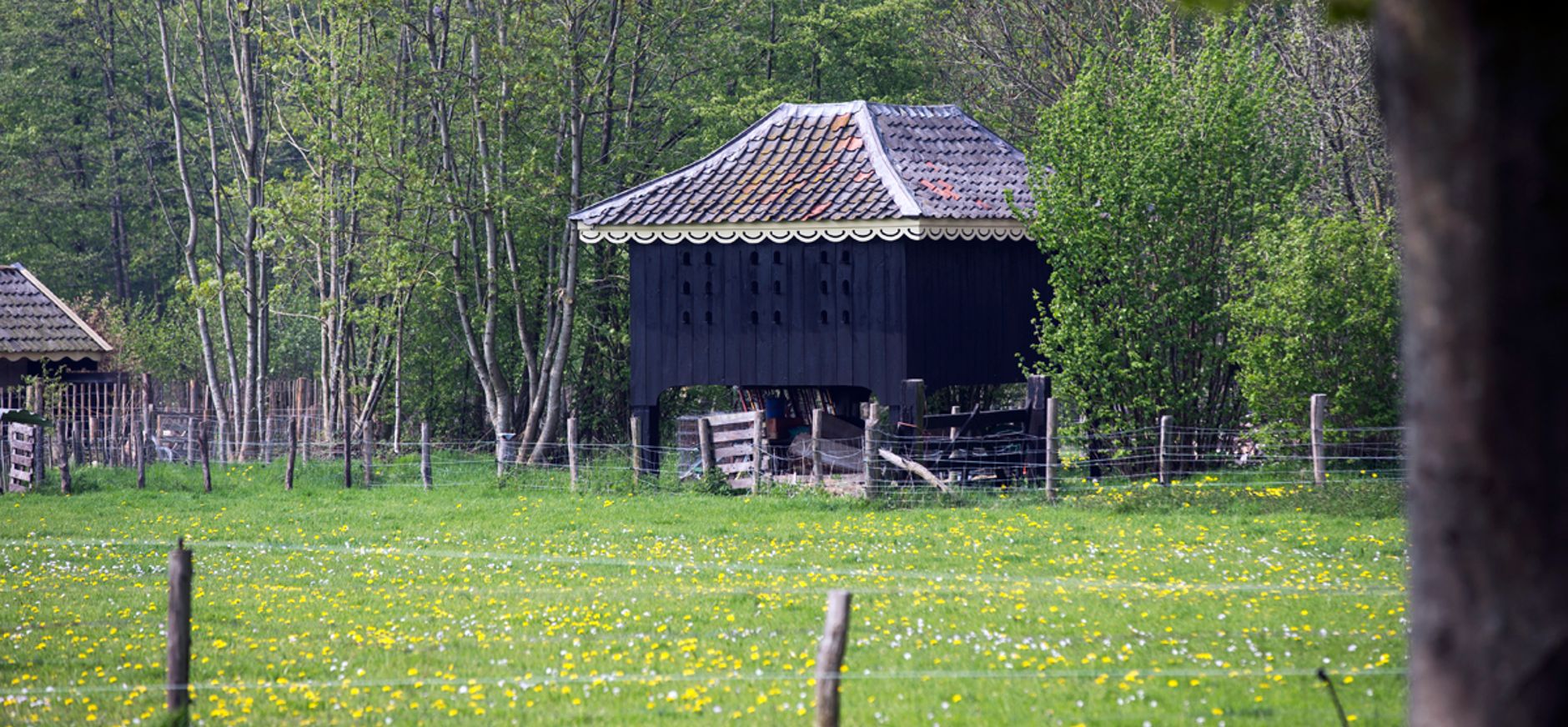 Duiventil Oldenaller