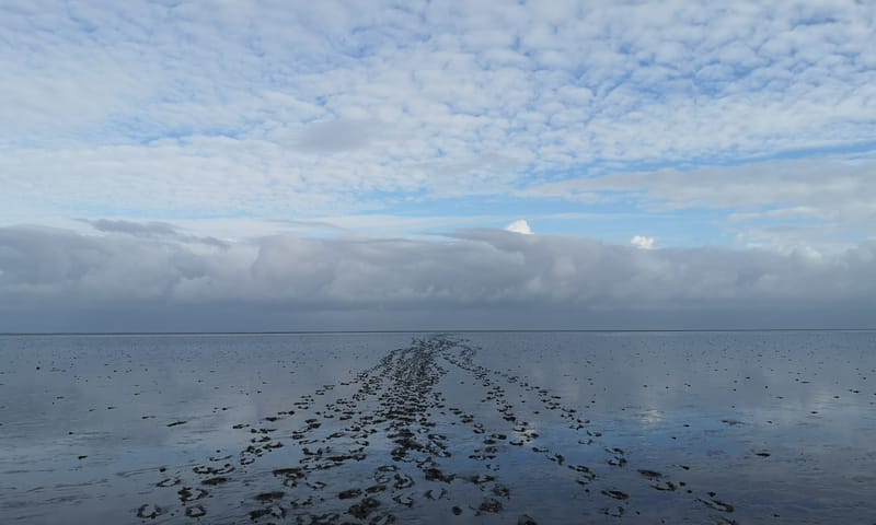De wadden. Prachtige en unieke omgeving en wadlopen is een geweldige ervaring❤️