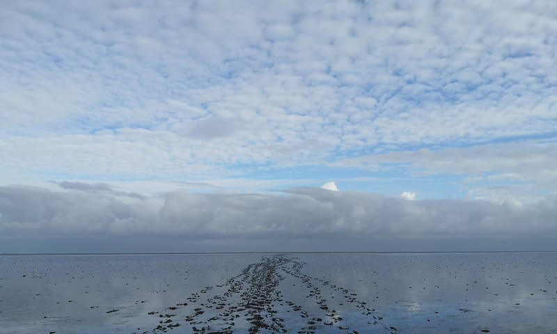 De wadden. Prachtige en unieke omgeving en wadlopen is een geweldige ervaring❤️