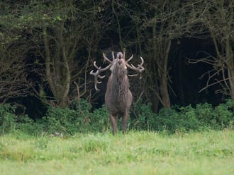 Bronstroute Veluwezoom