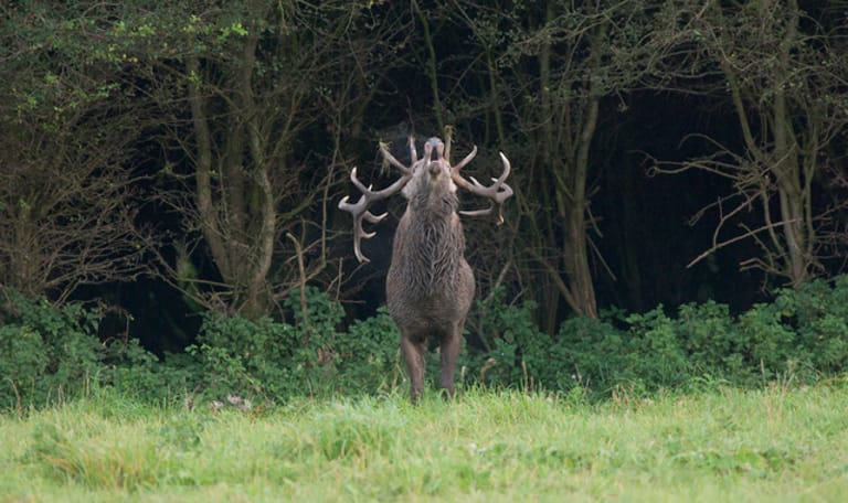 Bronstroute Veluwezoom