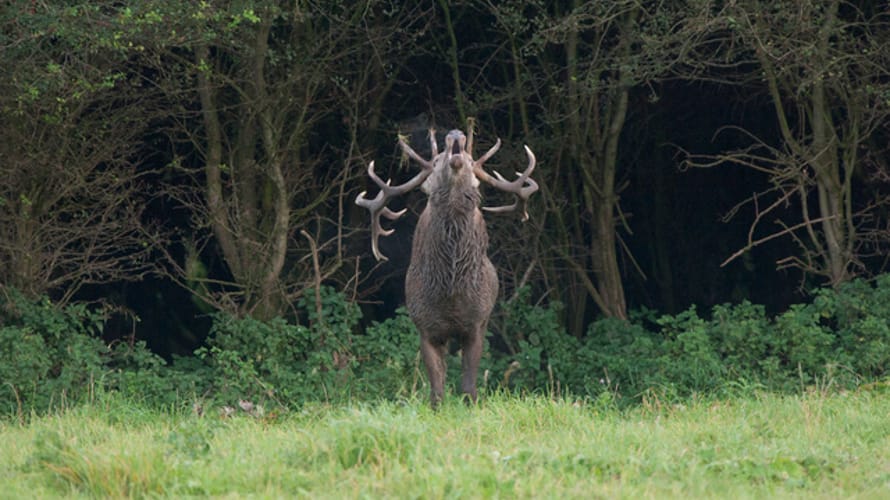 Bronstroute Veluwezoom