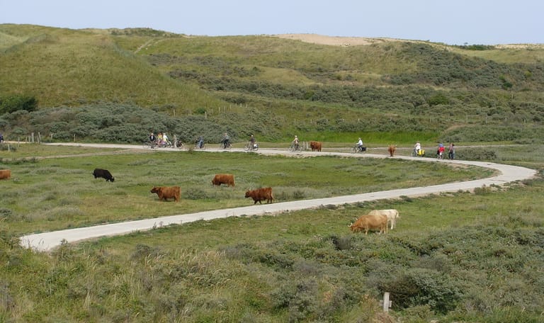 Fietsroute Zuid-Kennemerland