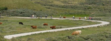 Fietsroute Zuid-Kennemerland