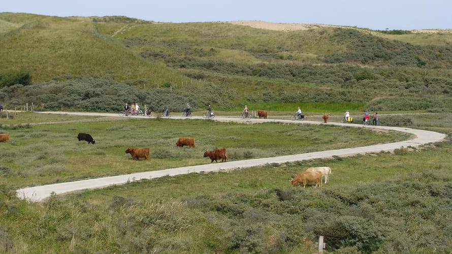 Fietsroute Zuid-Kennemerland