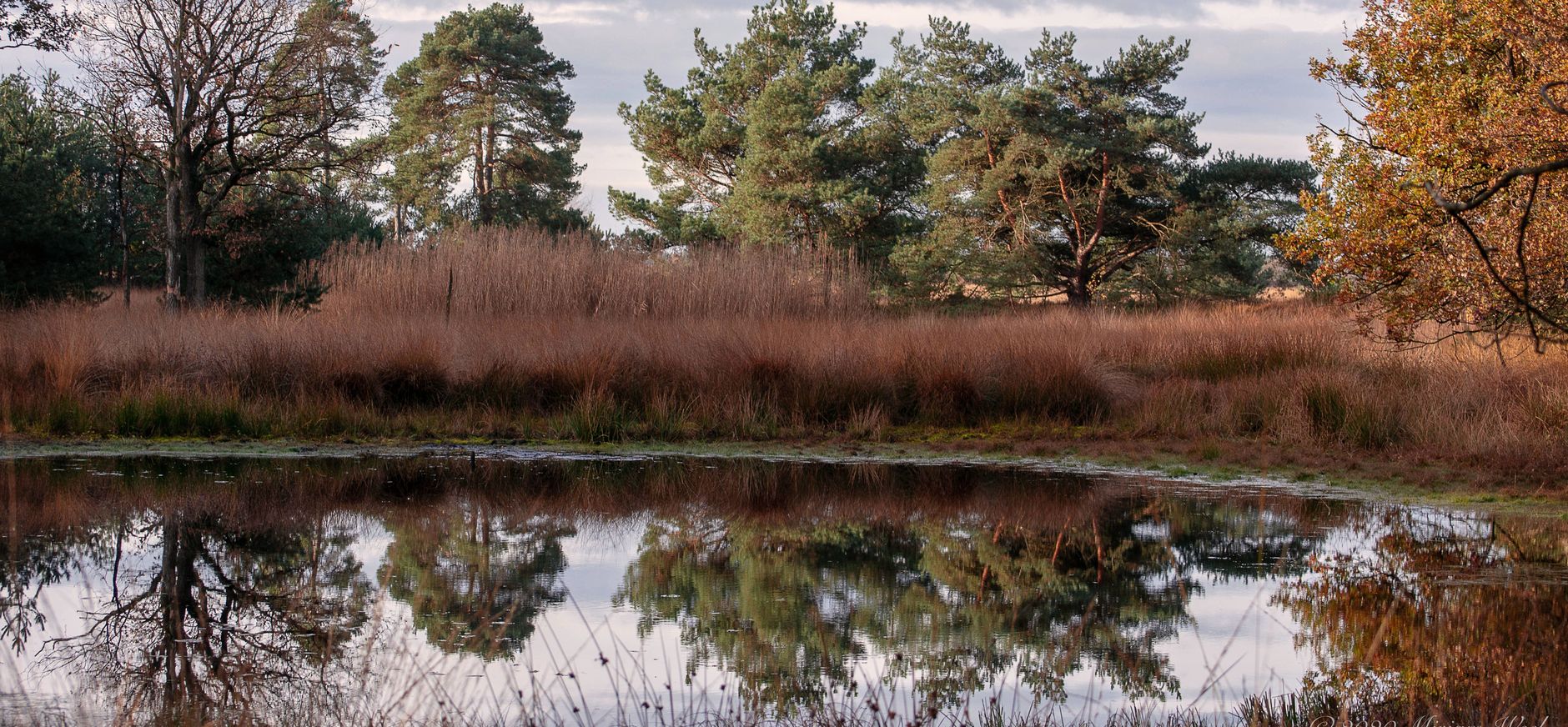 Reflectie op de Kampina