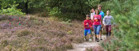 Wandelroute Brunssummerheide, gezinsroute (geel)