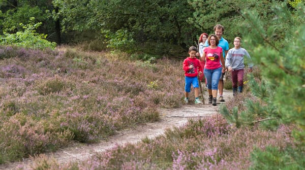 Wandelroute Brunssummerheide, gezinsroute (geel)