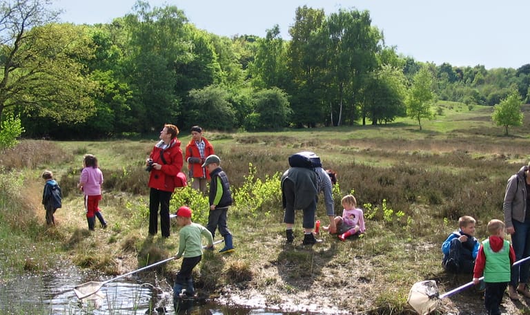 Zomer in OERRR Watersafari