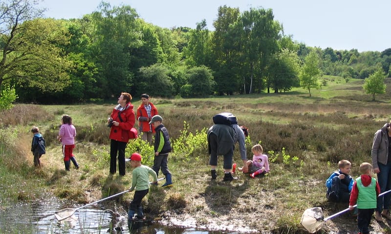 Zomer in OERRR Watersafari