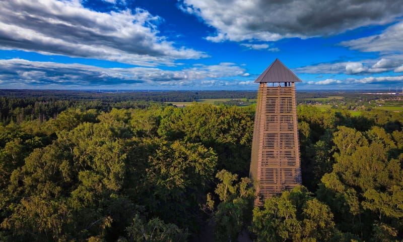Uitkijktoren op de Hulzenberg, in het Bergherbos je kunt er heerlijk wandelen en je hebt vanuit de toren een mooi uitzicht.