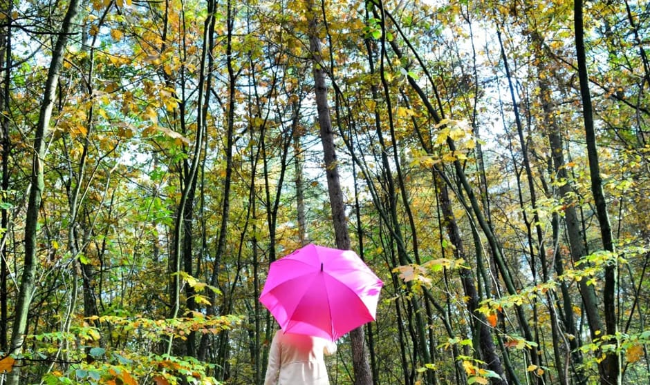 Met de paraplu in je hand geniet je van het mooie Nederland! ☔️🙋🏽♀️🇳🇱🌞