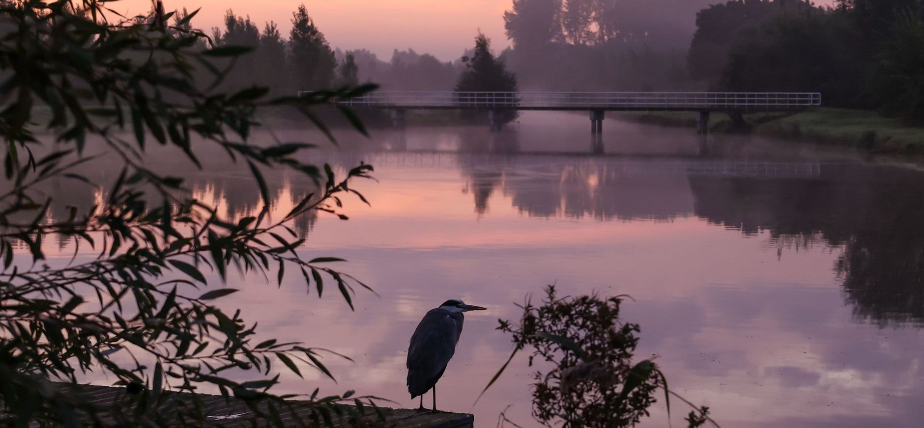 Vlak voor Zonsopkomst. September. Wandelgebied Laakweg. Pijnacker Zuid-Holland 