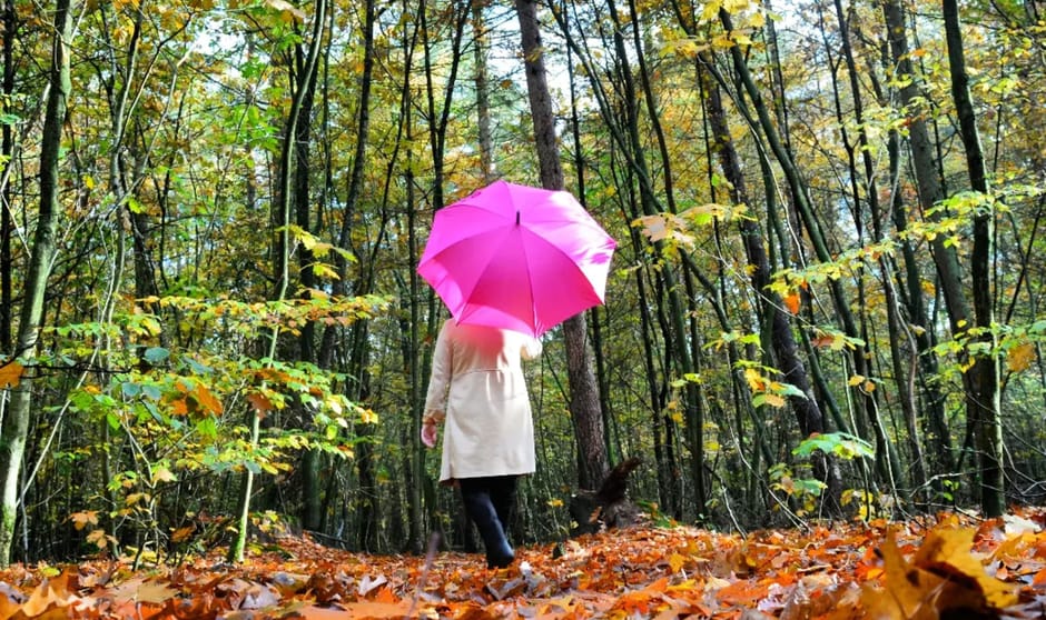 Met de paraplu in je hand geniet je van het mooie Nederland! ☔️🙋🏽♀️🇳🇱🌞
