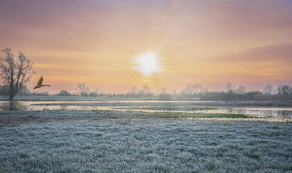 De lek na het hoge water en de kou.