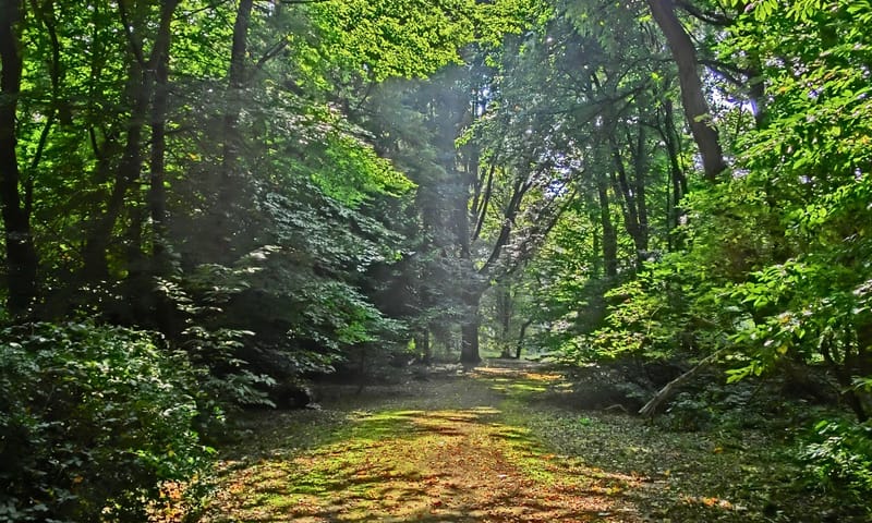fvdm-1720629303949.JPG