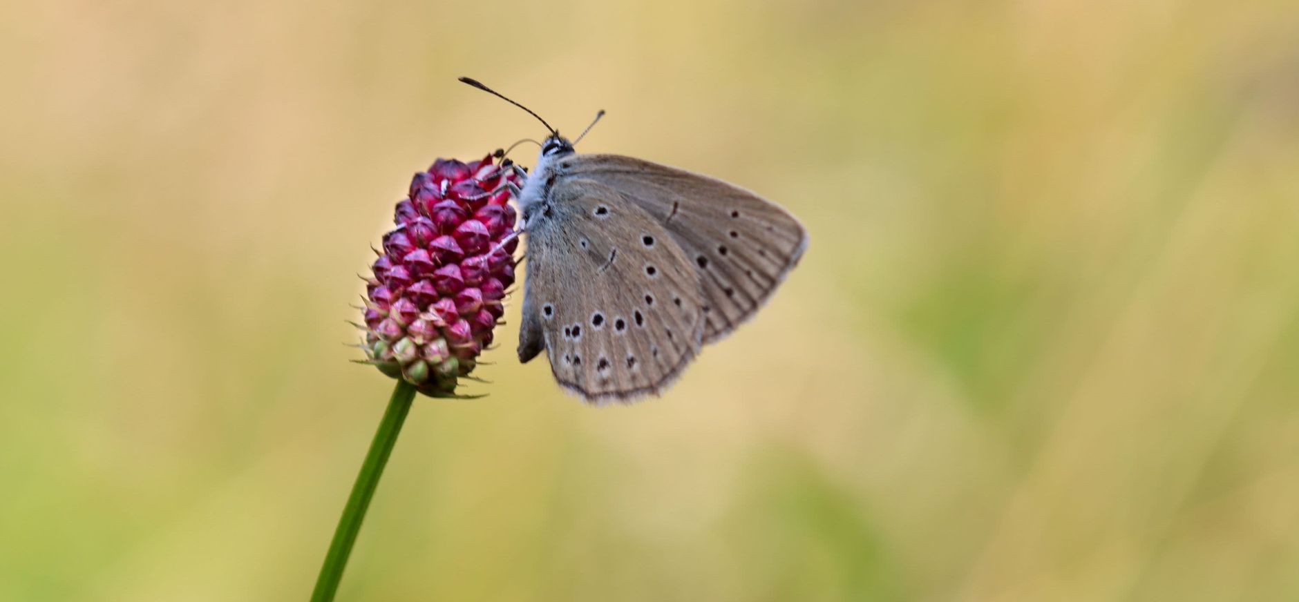 fvdm-1727717574440.jpg fvdm-1727717574440.jpg