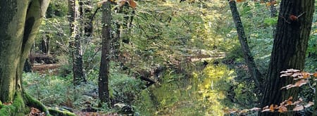 fvdm-1730020544840.jpg fvdm-1730020544840.jpg