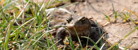 fvdm-1744052137027.jpg fvdm-1744052137027.jpg