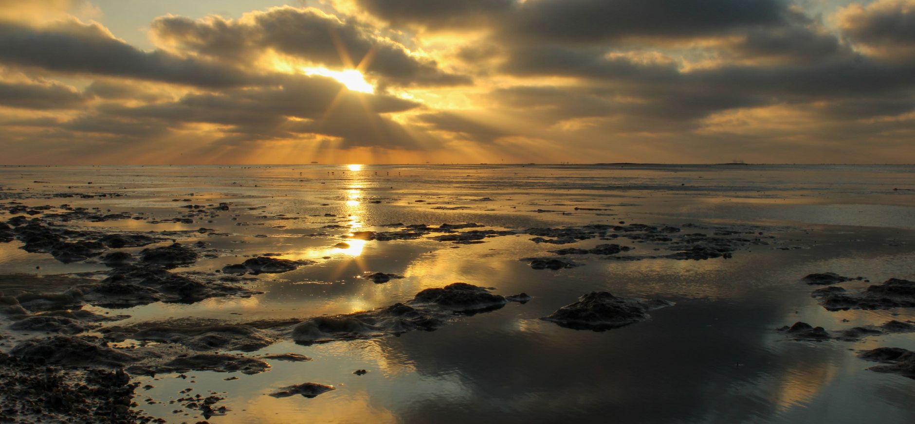 fvdm-1748116512662.jpeg fvdm-1748116512662.jpeg