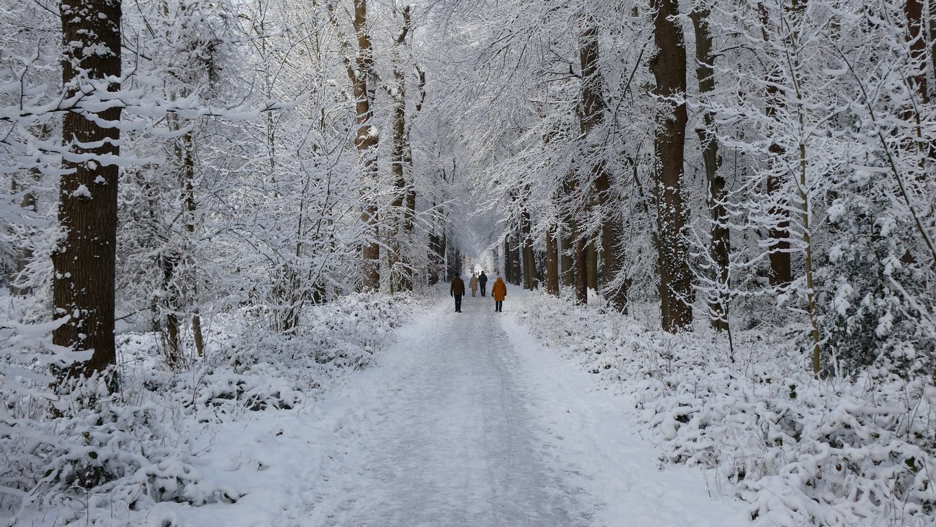Winterexcursie met snert op de Oude Buisse Heide