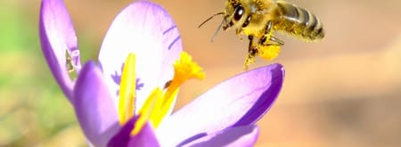 fvdm-1772033124034_0.jpeg fvdm-1772033124034_0.jpeg