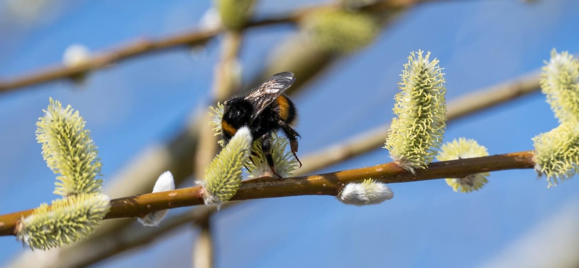 fvdm-1772563862071_0.jpg fvdm-1772563862071_0.jpg