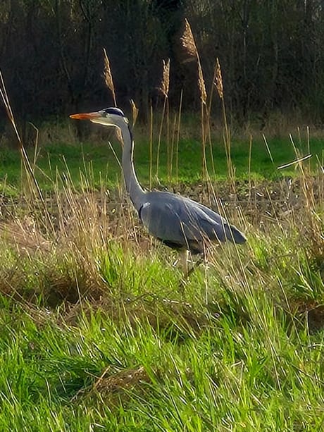 fvdm-1773506333436_0.jpg fvdm-1773506333436_0.jpg