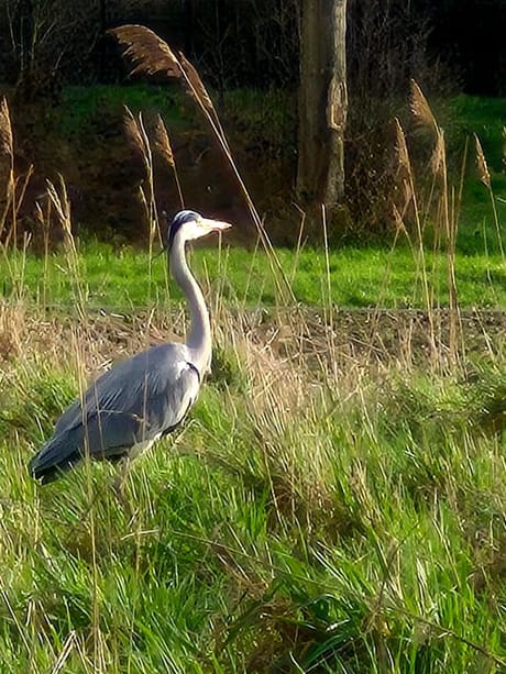 fvdm-1773506512488_0.jpg fvdm-1773506512488_0.jpg