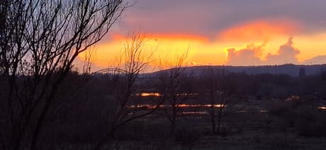 fvdm-1773510683737_0.jpg fvdm-1773510683737_0.jpg