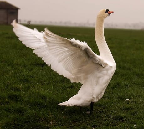 fvdm-1773515134738_0.jpg fvdm-1773515134738_0.jpg