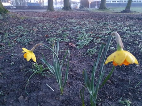 fvdm-1773554943046_0.jpg fvdm-1773554943046_0.jpg