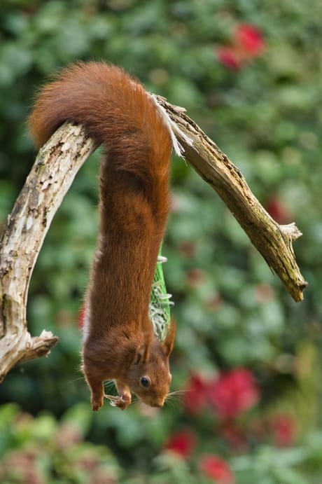 fvdm-1773578086573_0.jpg fvdm-1773578086573_0.jpg