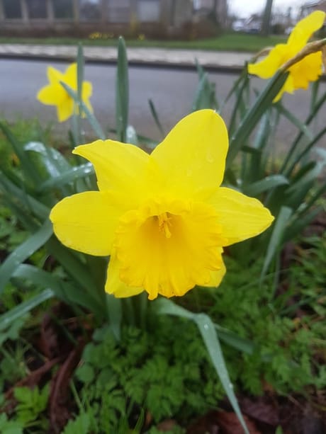 fvdm-1773578723877_0.jpg fvdm-1773578723877_0.jpg