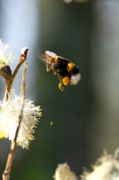 fvdm-1774169258053_0.jpg fvdm-1774169258053_0.jpg